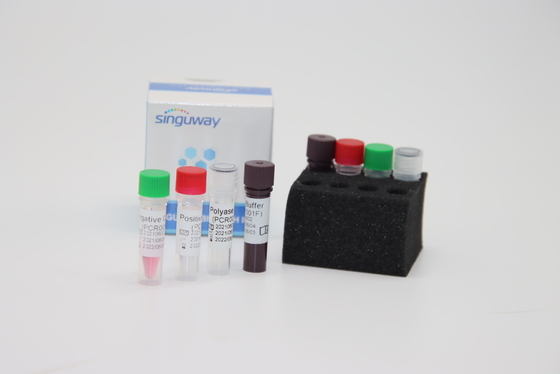 PCR HBoV RT ιών Boca PCR δοκιμής εξαρτήσεων ISO9001 δοκιμής πατσαβουρών ποσοτική φθορισμού εξάρτηση