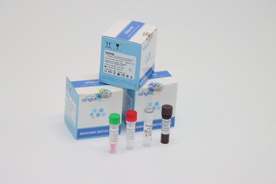 Εργαστήριο που χρησιμοποιεί RT PCR Covid PCR ιών εξαρτήσεων την κλινική LP δοκιμής εξάρτηση δειγμάτων πατσαβουρών μέσων διπλή