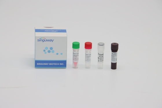RT ιών STB PCR φθορισμός εξαρτήσεων δοκιμής που εξετάζει τη γρήγορη εξεταστική εξάρτηση νουκλεϊνικού οξέος