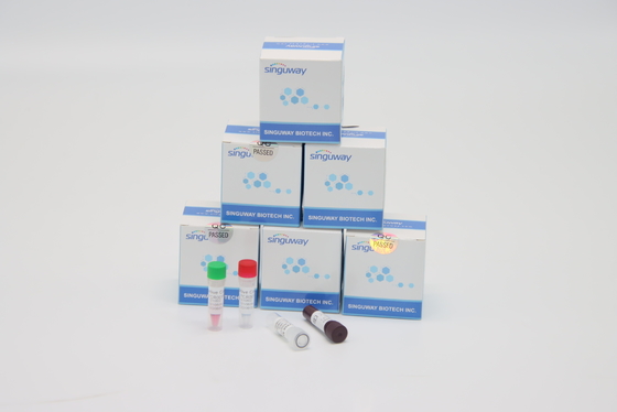 ISO9001 γρήγορη RT ιών Helicobacter Pylori PCR υψηλή ακρίβεια εξαρτήσεων δοκιμής