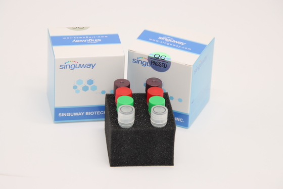Φθορισμού πραγματικός - χρονικό HCV RT PCR CE εργαστηριακής χρήσης εξαρτήσεων δοκιμής εξαρτήσεων HSV2