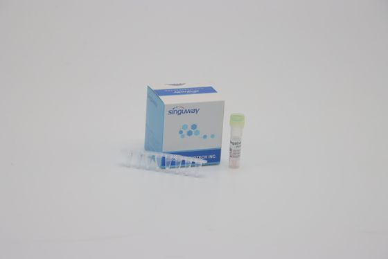DNA που εξετάζει PCR FluA FluB την εξάρτηση 1 ανίχνευσης RT βημάτων PCR εξάρτηση για τη χρησιμοποίηση εργαστηρίων