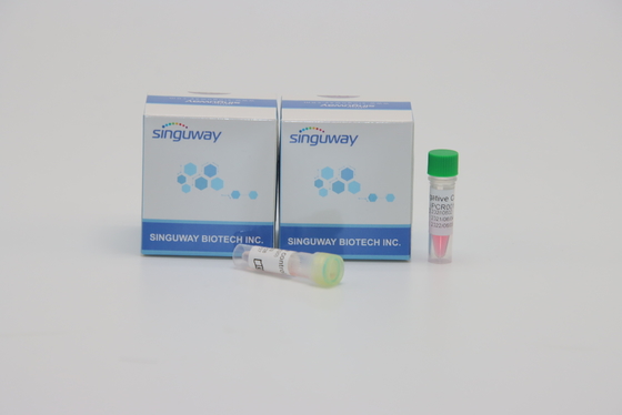 Singuway HSV ΙΙ PCR ιών ποσοτικός φθορισμού εξαρτήσεων ανίχνευσης για τη γενετική δοκιμή