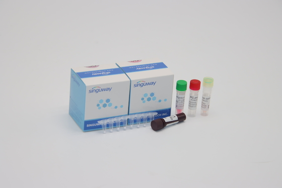 Αναπνευστική Syncytial προερχόμενη από ιό RT PCR διαγνωστική PCR εξαρτήσεων RSV ρινική πατσαβούρα εξαρτήσεων ανίχνευσης