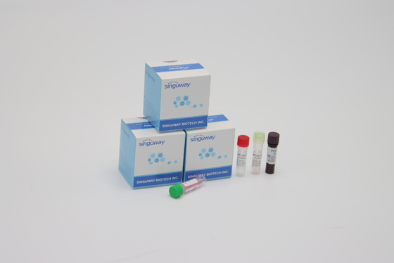 Υψηλές PCR ευαισθησίας ανίχνευσης μεταλλαγές γάμμα εξαρτήσεων άλφα βήτα του δέλτα για τη χρησιμοποίηση εργαστηρίων