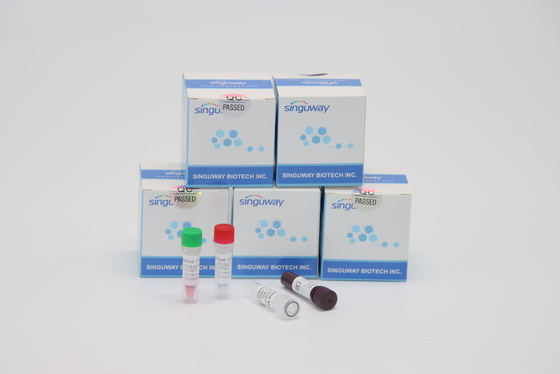 Ultrafast RT ιών θαλασσαιμίας PCR εργαστήριο εξαρτήσεων δοκιμής που χρησιμοποιεί PCR φυματίωσης την εξάρτηση