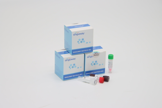 Γρήγορη RT ιών RSV στιγμιαία PCR δοκιμής υψηλή ακρίβεια διαγνώσεων εξαρτήσεων POCT IVD κλινική