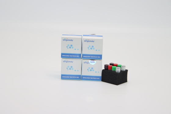 Στιγμιαία PCR HIV κλινική διάγνωση εξαρτήσεων POCT IVD δοκιμής πραγματική - χρονικό PCR εξάρτηση ανίχνευσης