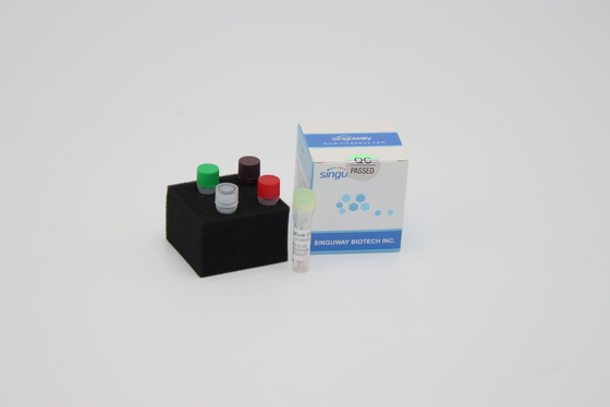 HBV HCV πραγματικό - χρονικό PCR PCR εξαρτήσεων ανίχνευσης όγκος αντίδρασης εξαρτήσεων 20uL ενίσχυσης