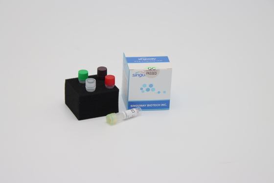 Υψηλής πιστότητας PCR μεταγραφής DNA πολυμεράσεων αντίστροφα RT εξαρτήσεων PCR αντιδραστήρια Singuway