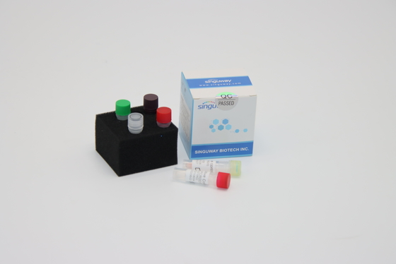 Ultrafast PCR DNA ιών λύσσας αντιδραστήρια εξαρτήσεων ανίχνευσης που απαιτούνται για PCR