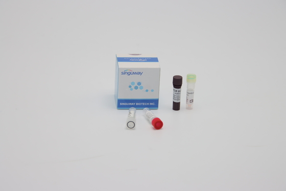 Προφορικά PCR δειγμάτων πατσαβουρών ποσοτικά πολλαπλά αντιδραστήρια ISO13485 αντίδρασης