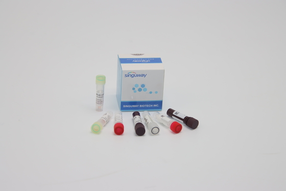 PCR ORF1ab HPV γενετική δοκιμή νουκλεϊνικού οξέος εξαρτήσεων ανίχνευσης για την κλινική διάγνωση