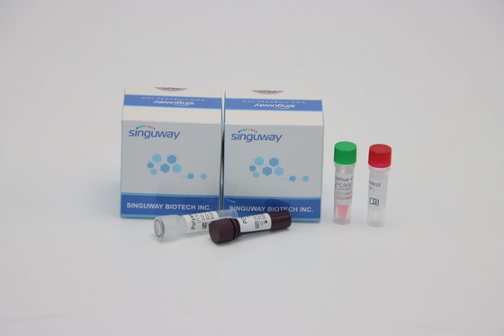 Φθορισμός που εξετάζει PCR το ρινικό δείγμα πατσαβουρών εξαρτήσεων ανίχνευσης για τη δοκιμή ιών των αδένων ADV