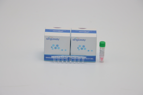 PCR φυματίωσης φυματίωσης μυκητοβακτηρίων εργαστηρίων POCT IVD DNA εξαρτήσεων ανίχνευσης που εξετάζει ISO9001