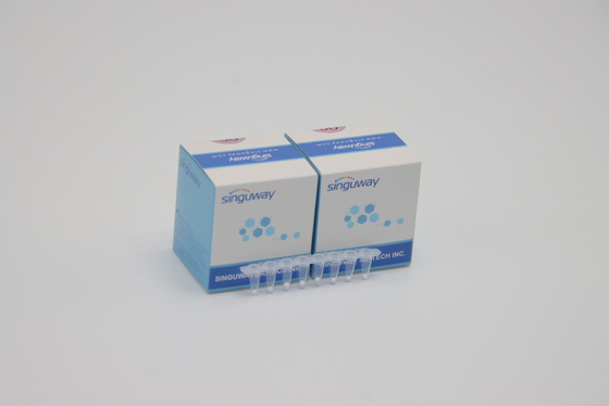 Υψηλή σταθερότητα HCV πραγματική - χρονικό PCR γρήγορο αντιδραστήριο ISO13485 εργαστηρίων εξαρτήσεων δοκιμής ηπατίτιδας Β εξαρτήσεων HBV