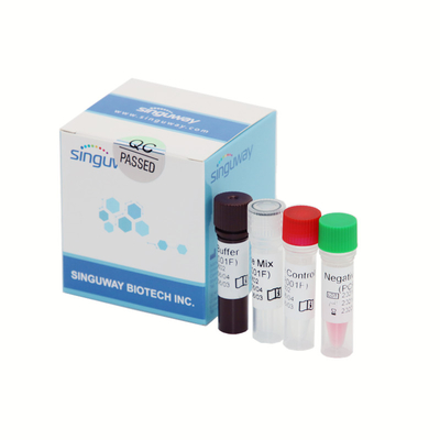 Υψηλή ακρίβεια covid-19 πραγματική - χρονικό PCR φθορισμού έλεγχος 50 Copies/Ml εξαρτήσεων ανίχνευσης