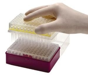 PCR εργαστηρίων αναλώσιμες Micropipette ακρών σιφωνίων μίας χρήσης άκρες 10-1250μL