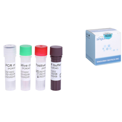 Ηπατίτιδας Γ ιών RNA HCV γρήγορη δοκιμής ποσοτική HCV RT PCR εξαρτήσεων εξάρτηση