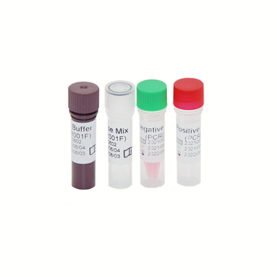 HBV HCV HIV-1 RT γονιδιώματος PCR υψηλή ευαισθησία 30 IU/ML εξαρτήσεων δοκιμής